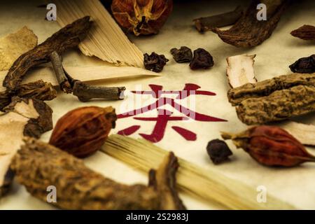 Zutaten für einen Tee in der traditionellen chinesischen Medizin. Heilung von Krankheiten durch alternative Methoden. Österreich Stockfoto