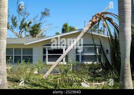 Hurrikanschäden an Palmen im Garten des Hauses Florida. Nach tropischen Sturmwinden heruntergefallen. Folgen von Naturkatastrophen Stockfoto
