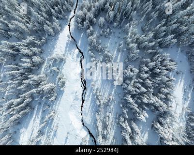 Eine Decke aus frischem Schnee bedeckt die Willenslandschaft rund um den Mt. Motorhaube, Oregon. Dieses malerische Gebiet im pazifischen Nordwesten ist nur eine Stunde von Portland entfernt. Stockfoto