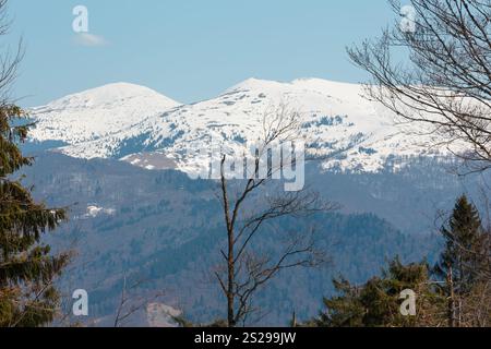 Der frühe Frühling Karpaten plateau Landschaft mit schneebedeckten Grat Tops, Ukraine. Stockfoto