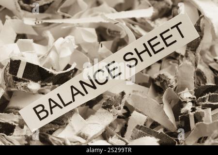 Papier schreddert mit dem Stichwort Bilanz, symbolisches Foto für Datenvernichtung, Bilanzen und Buchhaltung Stockfoto