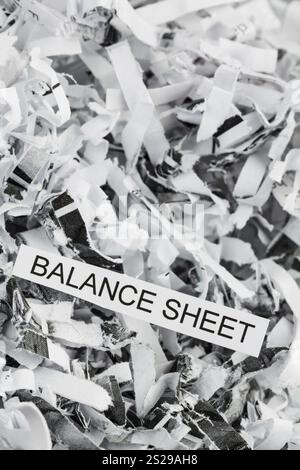 Papierschredder mit dem Stichwort Bilanz, symbolisches Foto für Datenvernichtung, Bilanzen und Buchhaltung Österreich Stockfoto