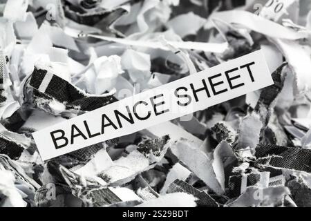 Papierschredder mit dem Stichwort Bilanz, symbolisches Foto für Datenvernichtung, Bilanzen und Buchhaltung Österreich Stockfoto