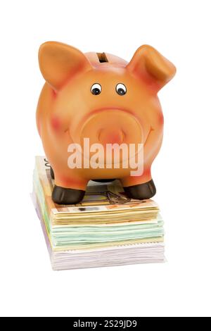 Eine Sparkasse steht auf Banknoten und symbolisiert Sparsamkeit, Rentabilität und Kapitalrendite Stockfoto