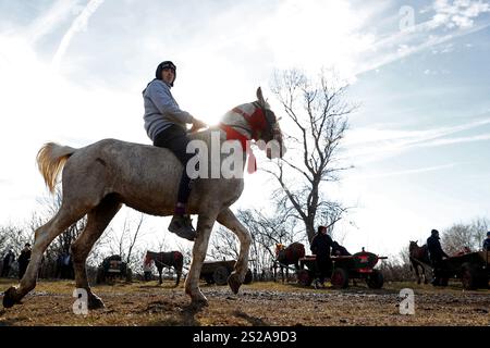 Bukarest, Rumänien. Januar 2025. Ein Dorfbewohner nimmt am 6. Januar 2025 an einem traditionellen Pferderennen in Pietrosani, nördlich von Bukarest, Rumänien, Teil. Quelle: Cristian Cristel/Xinhua/Alamy Live News Stockfoto