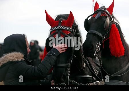 Bukarest, Rumänien. Januar 2025. Ein Mädchen interagiert mit Pferden in festlicher Kleidung vor einem traditionellen Pferderennen in Pietrosani, Rumänien, 6. Januar 2025. Quelle: Cristian Cristel/Xinhua/Alamy Live News Stockfoto