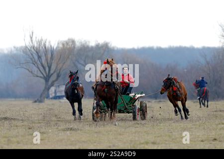 Bukarest, Rumänien. Januar 2025. Ein Dorfbewohner kommt am 6. Januar 2025 in einem Pferdewagen für ein traditionelles Pferderennen in Pietrosani, Rumänien. Quelle: Cristian Cristel/Xinhua/Alamy Live News Stockfoto