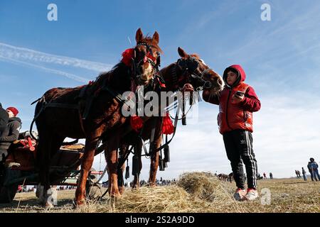 Bukarest, Rumänien. Januar 2025. Ein Junge interagiert mit Pferden in festlicher Kleidung vor einem traditionellen Pferderennen in Pietrosani, Rumänien, 6. Januar 2025. Quelle: Cristian Cristel/Xinhua/Alamy Live News Stockfoto