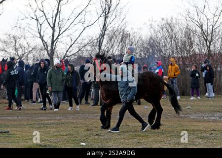 Bukarest, Rumänien. Januar 2025. Die Dorfbewohner treffen sich am 6. Januar 2025 zu einem traditionellen Pferderennen in Pietrosani, Rumänien. Quelle: Cristian Cristel/Xinhua/Alamy Live News Stockfoto