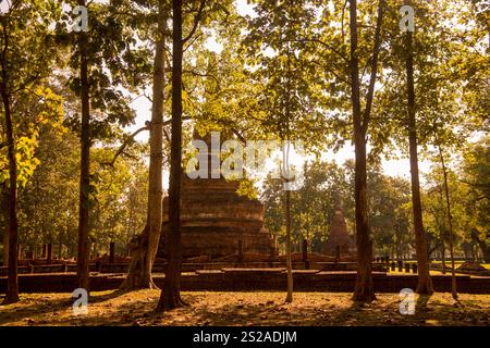 Die Ruinen des Wat Phra Kaeo im Historischen Park der Stadt Kamphaeng Phet in der Provinz Kamphaeng Phet in Nord-Thailand. Thailand, K. Stockfoto