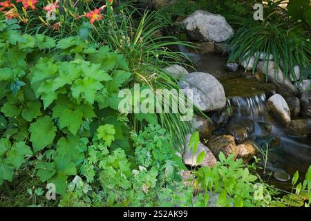 Fluss und Wasserfall mit roten und orangen Hemerocallis - Taglilien Blumen im Garten im Wohnbereich im Sommer, Quebec, Kanada. Dieses Bild Stockfoto