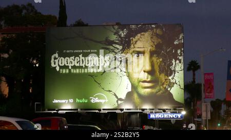 Los Angeles, Kalifornien, USA 6. Januar 2025 Gänsehaut auf dem Sunset Blvd am 6. Januar 2025 in Los Angeles, Kalifornien, USA. Foto: Barry King/Alamy Stock Photo Stockfoto