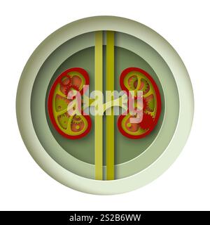 Menschliche Niere interne Organarbeit Prozess Papier geschnitten Handwerk Vektor Illustration Stock Vektor