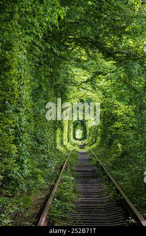 Love Tunnel (Eisenbahnstrecke im Wald bei Kleva, Ukraine. So genannt, weil vorher auf diese Weise Mädchen aus einem nahe gelegenen Dorf und Soldaten aus Stockfoto