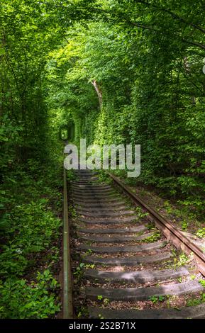 Love Tunnel (Eisenbahnstrecke im Wald bei Kleva, Ukraine. So genannt, weil vorher auf diese Weise Mädchen aus einem nahe gelegenen Dorf und Soldaten aus Stockfoto