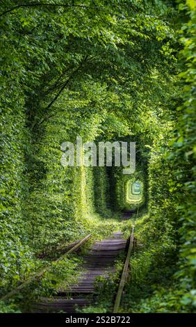 Love Tunnel (Eisenbahnstrecke im Wald bei Kleva, Ukraine. So genannt, weil vorher auf diese Weise Mädchen aus einem nahe gelegenen Dorf und Soldaten aus Stockfoto