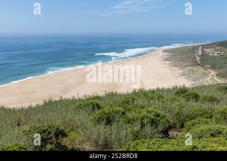 Panoramablick über North Beach mit grünen Dünen im Vordergrund Nazare Portugal Stockfoto