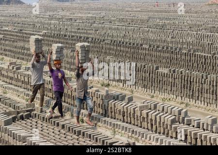 Narayanganj, Dhaka, Bangladesch. Januar 2025. Die Arbeiter in Narayanganj, Bangladesch, tragen in einem Ziegelofen Steine mit einem Gewicht von mehr als 15 kg auf dem Kopf. Sie verdienen weniger als 1 USD, nachdem sie 1.000 Steine transportiert haben. Brickfields Umgebung kann als neue Form der modernen Sklaverei bezeichnet werden. Lange Arbeitszeiten unter sengender Sonne, massive Staubansammlungen, Sturzgefahr von Lkws und Ziegelhaufen sowie das Tragen übermäßiger Lasten stellen für die Arbeitnehmer eine ernste Gefahr für die Gesundheit dar. Quelle: ZUMA Press, Inc./Alamy Live News Stockfoto