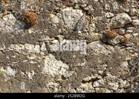 Detail einer Granitmauer mit Zement, großen und kleinen grauen Steinen, die übereinander gestapelt sind, Teil eines alten historischen portugiesischen Hauses. Stockfoto