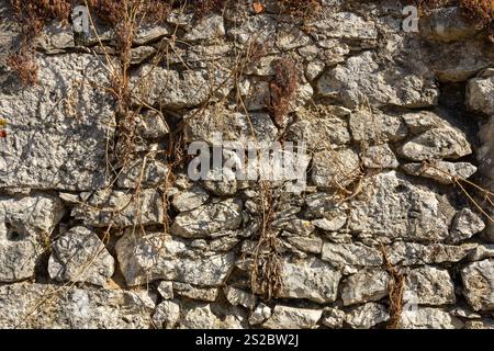 Detail einer Granitmauer mit Moos, großen und kleinen grauen Steinen, die übereinander gestapelt sind, Teil eines alten historischen portugiesischen Hauses. Stockfoto