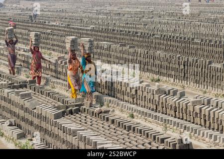 Narayanganj, Dhaka, Bangladesch. Januar 2025. Die Arbeiter in Narayanganj, Bangladesch, tragen in einem Ziegelofen Steine mit einem Gewicht von mehr als 15 kg auf dem Kopf. Sie verdienen weniger als 1 USD, nachdem sie 1.000 Steine transportiert haben. Brickfields Umgebung kann als neue Form der modernen Sklaverei bezeichnet werden. Lange Arbeitszeiten unter sengender Sonne, massive Staubansammlungen, Sturzgefahr von Lkws und Ziegelhaufen sowie das Tragen übermäßiger Lasten stellen für die Arbeitnehmer eine ernste Gefahr für die Gesundheit dar. Quelle: ZUMA Press, Inc./Alamy Live News Stockfoto