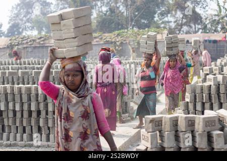 Narayanganj, Dhaka, Bangladesch. Januar 2025. Die Arbeiter in Narayanganj, Bangladesch, tragen in einem Ziegelofen Steine mit einem Gewicht von mehr als 15 kg auf dem Kopf. Sie verdienen weniger als 1 USD, nachdem sie 1.000 Steine transportiert haben. Brickfields Umgebung kann als neue Form der modernen Sklaverei bezeichnet werden. Lange Arbeitszeiten unter sengender Sonne, massive Staubansammlungen, Sturzgefahr von Lkws und Ziegelhaufen sowie das Tragen übermäßiger Lasten stellen für die Arbeitnehmer eine ernste Gefahr für die Gesundheit dar. Quelle: ZUMA Press, Inc./Alamy Live News Stockfoto