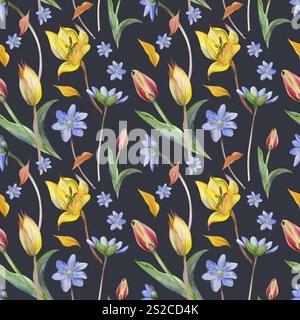 Frühlingsblumen, weiße Waldanemonen-Kerze, blaue hepatica Vergissmeinnicht, Gras, gelbe und rote Tulpe, handgezeichnet in Aquarell. Nahtloses Muster Stockfoto