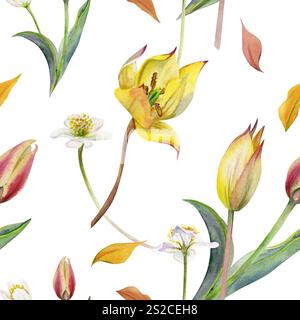 Frühlingsblumen, gelbe und rote Tulpe, weiße Waldanemone Kerzenblut, handgezeichnet in Aquarell. Nahtloses Muster der botanischen Illustration Stockfoto