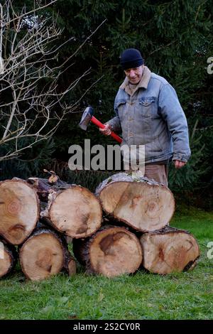 Ein reifer älterer Mann bereitet sich darauf vor, mit einem Müll Holzscheite für Brennstoff für Holzbrenner zu schneiden, um sich auf die bevorstehende Wintersaison im Komitat zala ungarn vorzubereiten Stockfoto