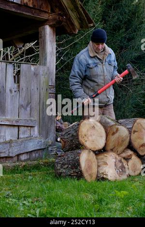 Ein reifer älterer Mann bereitet sich darauf vor, mit einem Müll Holzscheite für Brennstoff für Holzbrenner zu schneiden, um sich auf die bevorstehende Wintersaison im Komitat zala ungarn vorzubereiten Stockfoto