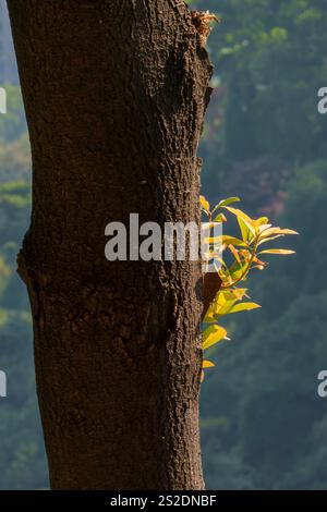 Wunderschöner Blick auf das weite natrue Stockfoto