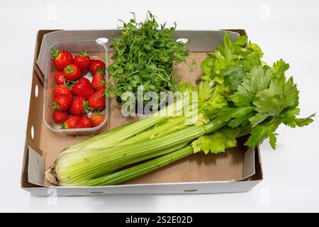 Kiste für frische Lebensmittel aus biologischem Anbau Stockfoto