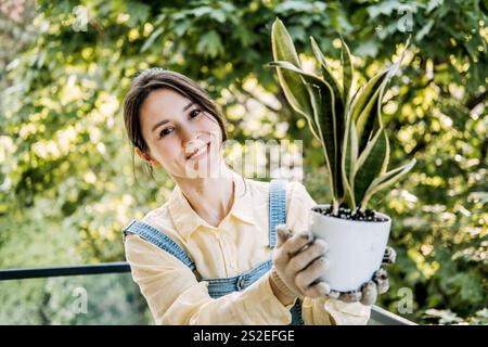 Lächelnde Frau, die auf einem grünen Balkon eine Schlangenpflanze hält. Urbanes Gartenwesen und nachhaltiges Wohnkonzept. Stockfoto