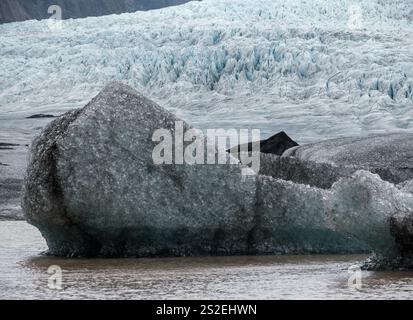 Gletscherzunge gleitet vom Vatnajokull-Eiszapfen oder Vatna-Gletscher in der Nähe des subglazialen Vulkans Oraefajokull, Island. Gletscherlagune mit Eisblöcken und s Stockfoto