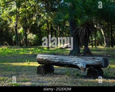 Alte ländliche Bank aus Baumstämmen im Park schafft ein natürliches Gefühl und eine friedliche Atmosphäre. Stockfoto
