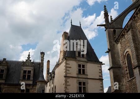 Alte Blauholztür Stockfoto