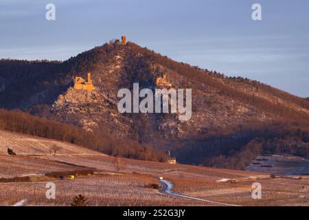 Ruinen von Catle Chateau de Saint-Ulrich, Chateau du Girsberg und Chateau du Haut-Ribeaupierre bei Ribeauville, Elsass, Frankreich Stockfoto