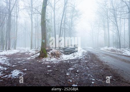 Schmelzender Schnee auf einem Weg in einem nebeligen Wald im Osten Polens Stockfoto