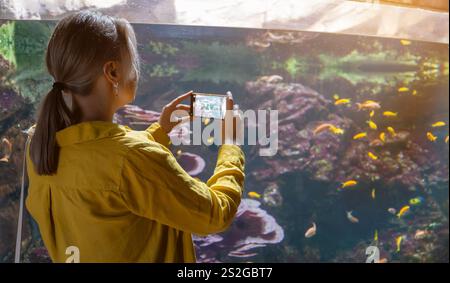 Frau nimmt Videos auf oder fotografiert Fische im Aquarium. Stockfoto