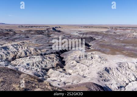 Badlands im Petrified Forest National Park vom Blue Forest Trail aus gesehen Stockfoto