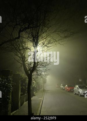 Das Licht der Straßenlaterne wird im Lido di Venezia im Winter von Baumzweigen im Nebel verstreut Stockfoto