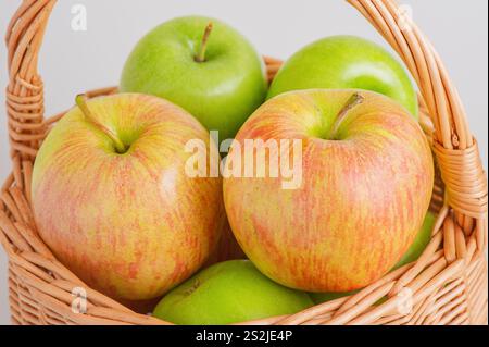 Zwei verschiedene Apfelsorten in einem Korb auf grauem Hintergrund. Obst, Äpfel Stockfoto