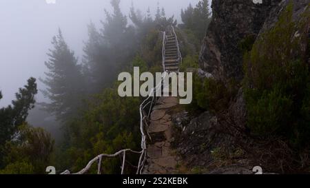 Ein nebeliger Bergweg mit einem zerklüfteten Steinweg und hölzernen Geländern schlängelt sich durch dichtes Grün und hoch aufragende Felsen. Stockfoto
