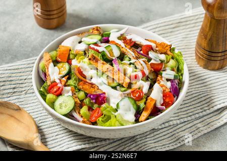 Gesunder hausgemachter Büffelhähnchen-Salat mit Blaukäse und Sellerie Stockfoto