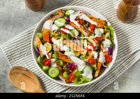 Gesunder hausgemachter Büffelhähnchen-Salat mit Blaukäse und Sellerie Stockfoto