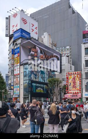 3D-Katzenwerbung in Shinjuku Tokio Japan Stockfoto