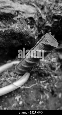 Schwarz-weiße Nahaufnahme eines rostigen Stahlstabs, der in den Boden eingebettet ist, umgeben von Schmutz und einer Kabelschlaufe. Stockfoto