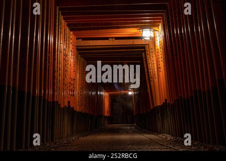 A long and dark tunnel is filled with aged wooden beams, and there is a small, inviting light shining brightly at the distant end Stockfoto