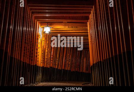 Ein langer, dunkler Holztunnel erstreckt sich vor ihm, und ein helles Licht leuchtet einladend am entfernten Ende Stockfoto