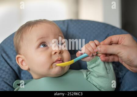 Ein 6 Monate altes Baby beginnt feste Nahrung und sieht seine Mutter an, die ihm hilft Stockfoto